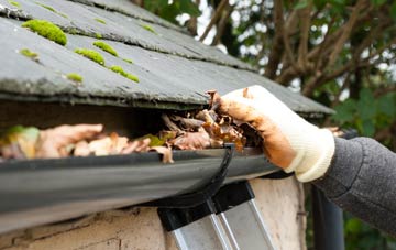 gutter cleaning Thorpe Willoughby, North Yorkshire