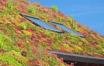 Thorpe Willoughby living roof systems