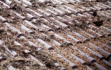 Thorpe Willoughby roof cleaning companies